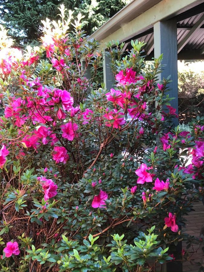 Mandalay House Bed & Breakfast Bellawongarah Екстериор снимка